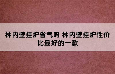 林内壁挂炉省气吗 林内壁挂炉性价比最好的一款